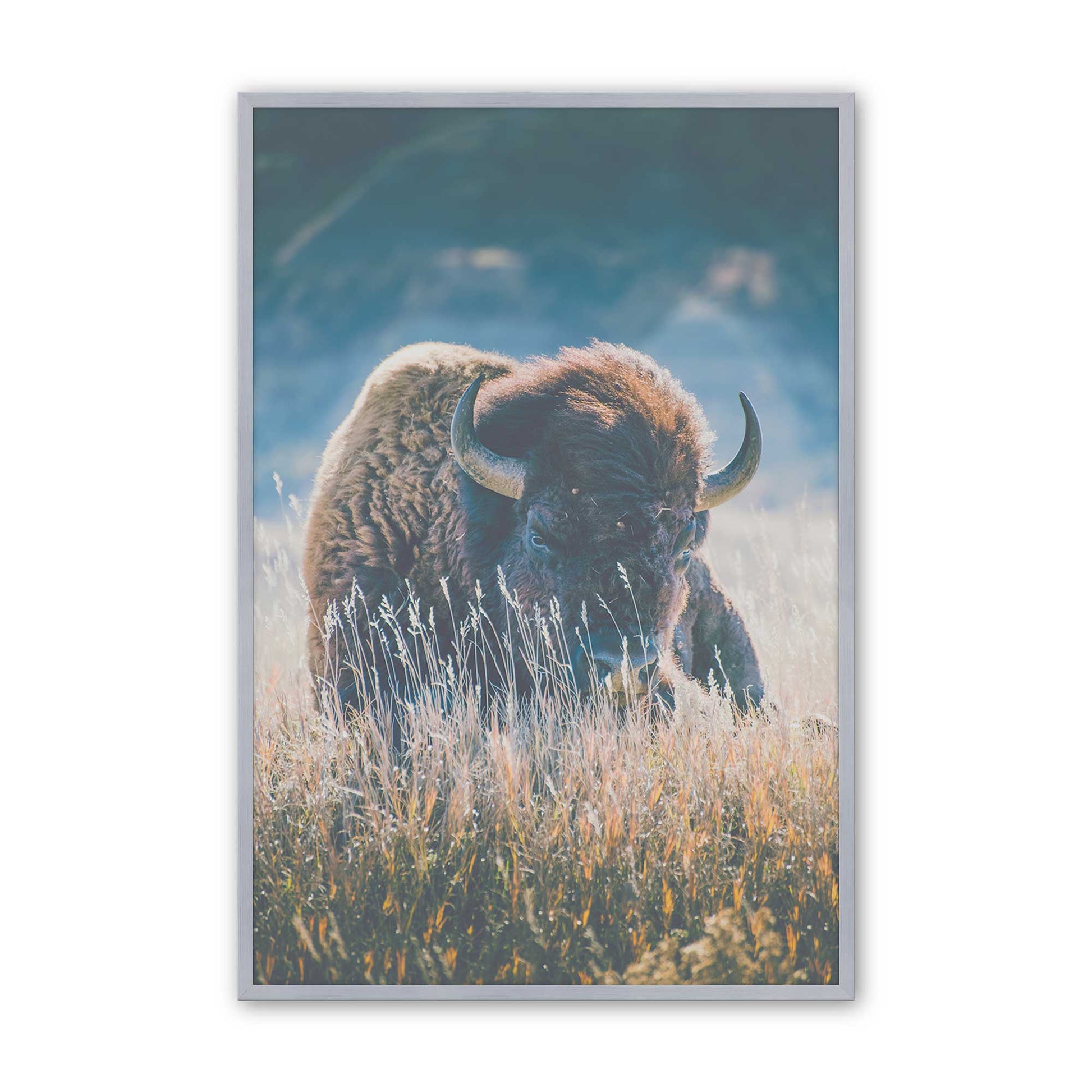 [Color:Polished Chrome], Picture of art in a Polished Chrome frame
