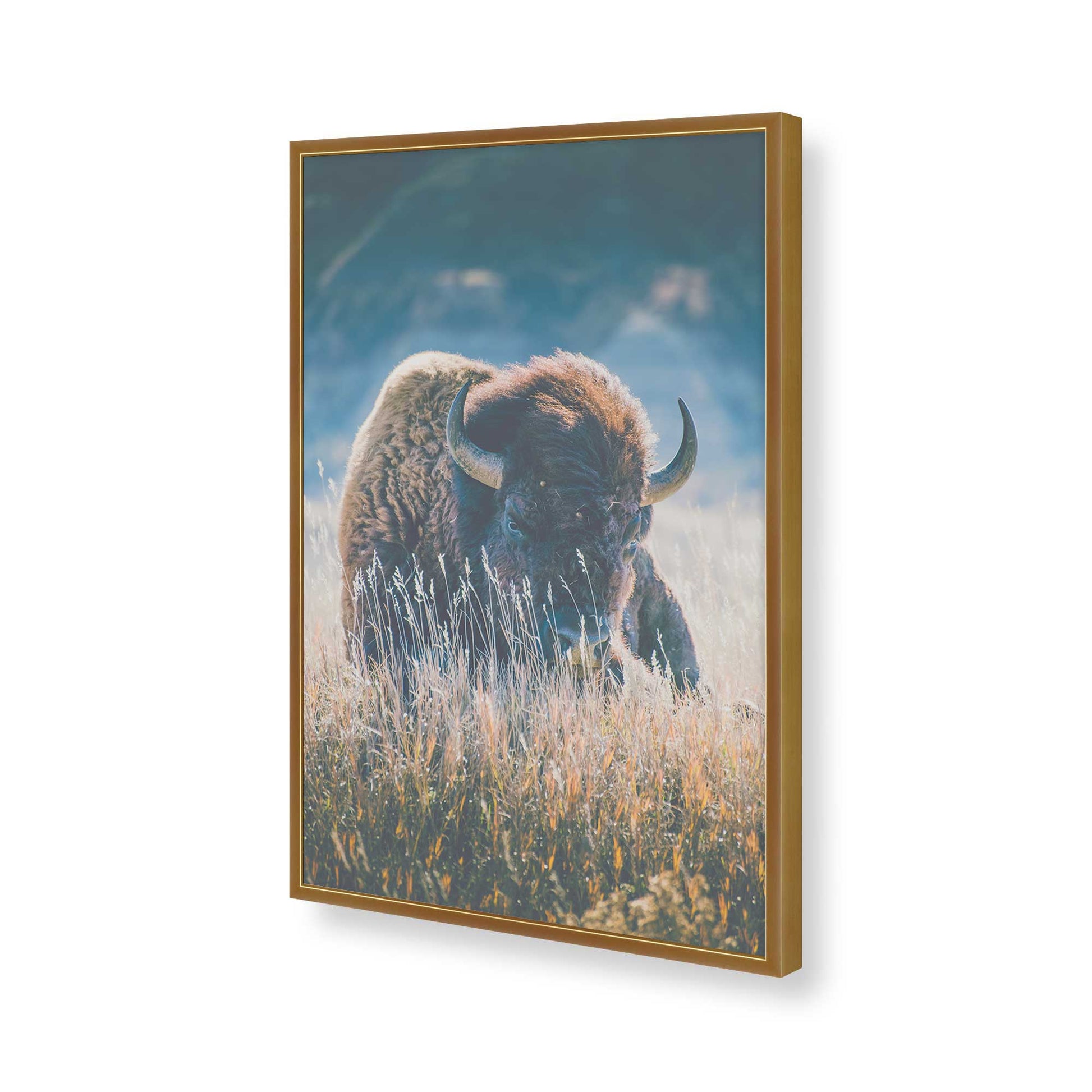 [Color:Polished Gold], Picture of art in a Polished Gold frame of the corner