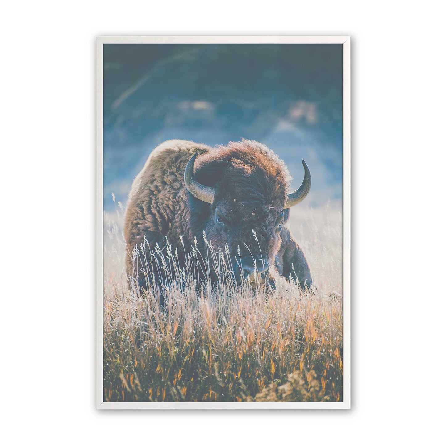 [Color:Opaque White], Picture of art in a Opaque White frame