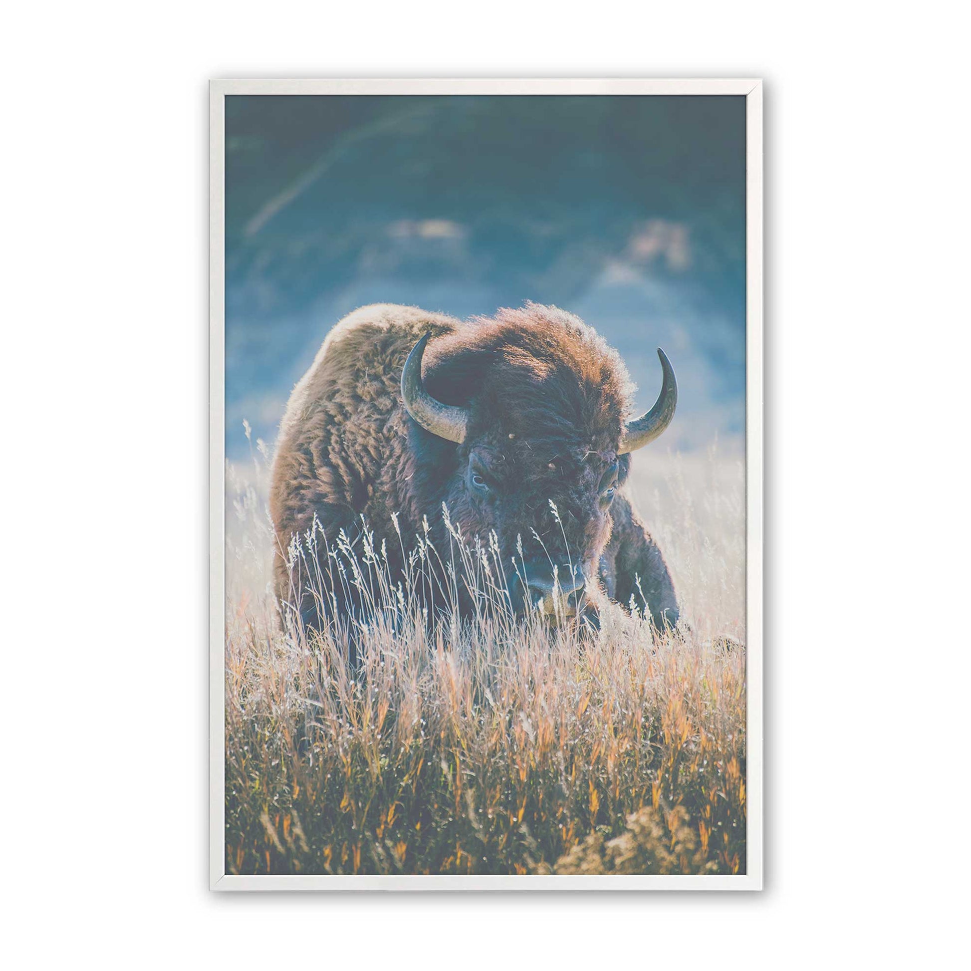 [Color:Opaque White], Picture of art in a Opaque White frame