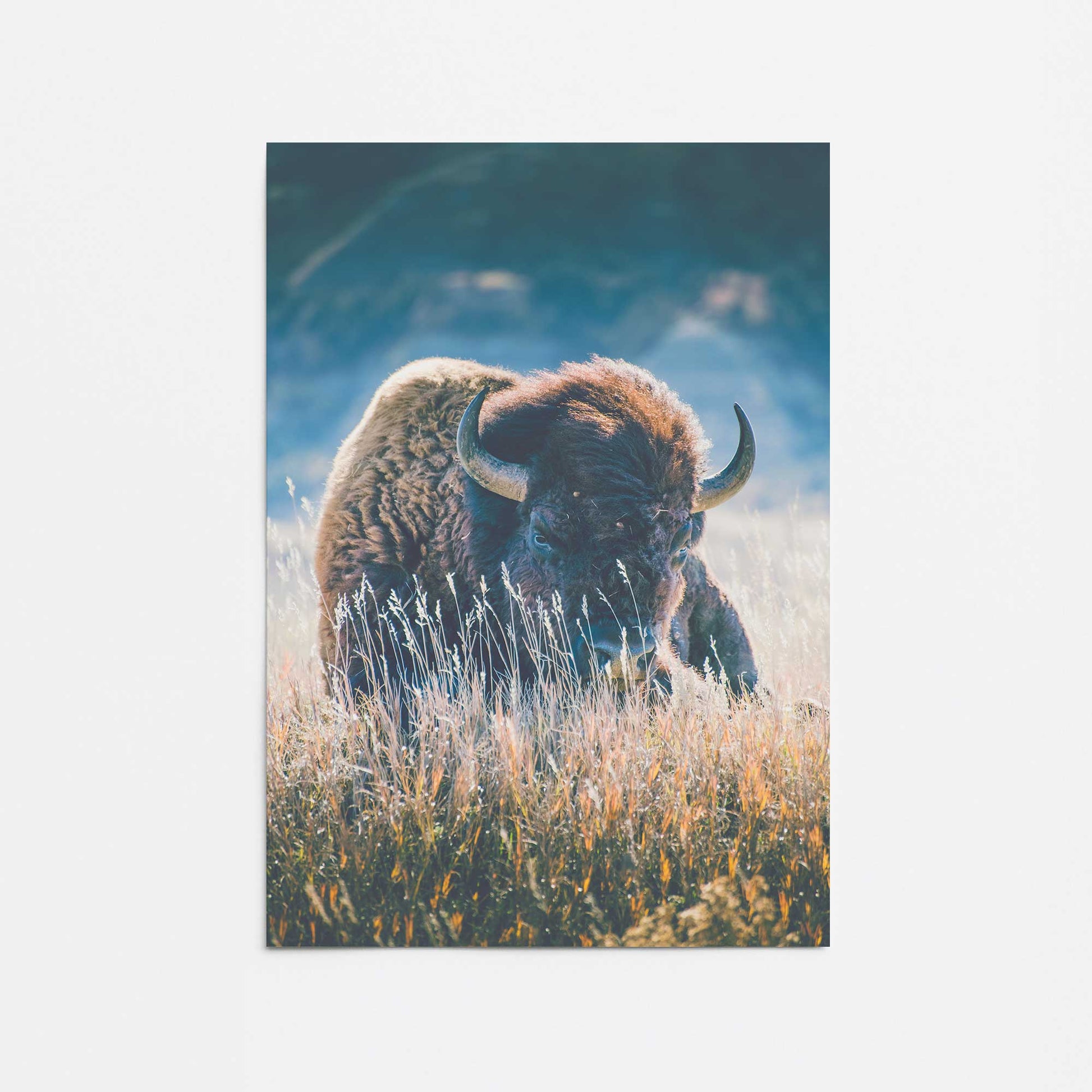 [Color:Rolled Print], Picture of close up of art