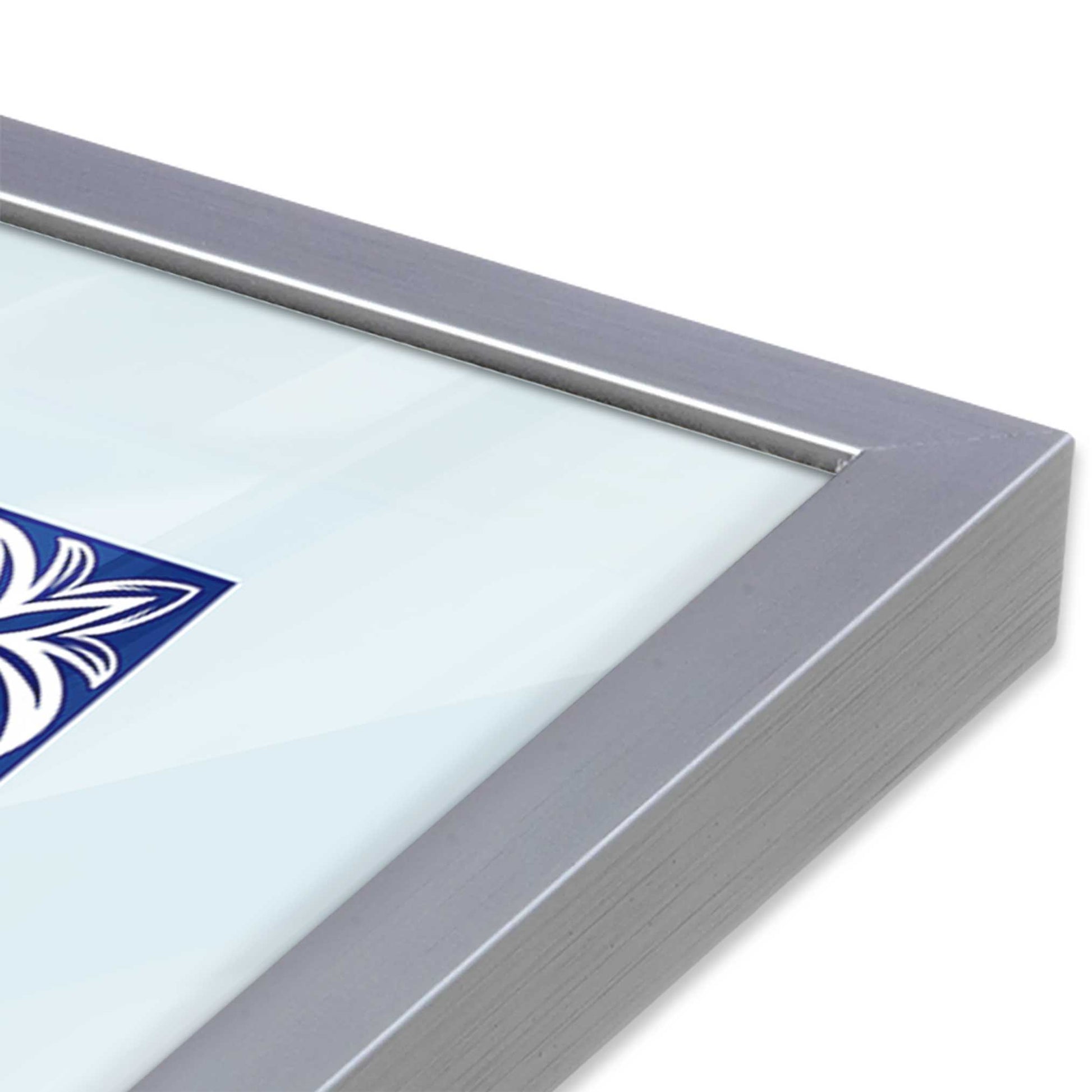 [Color:Polished Chrome], Picture of art in a Polished Chrome frame at an angle