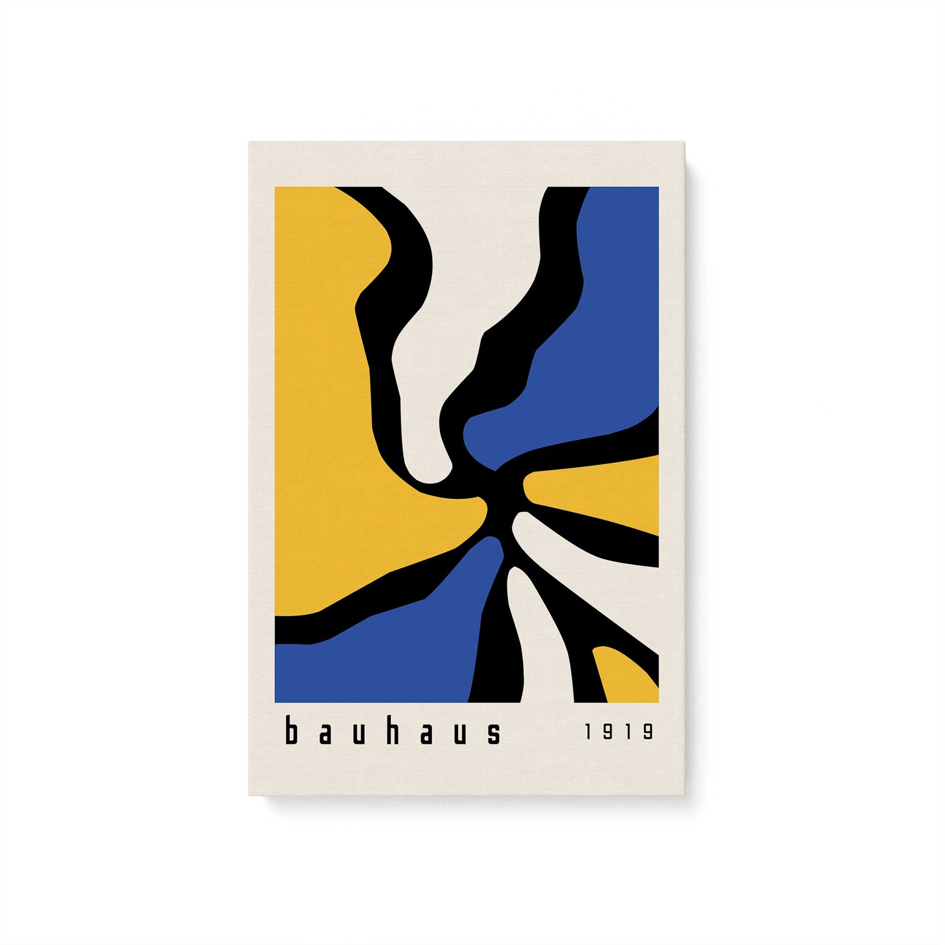 [Color:Stretched Canvas], Picture of art