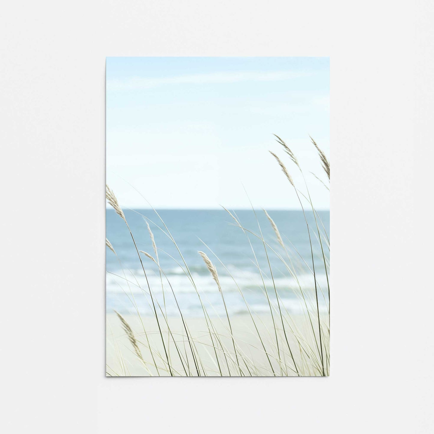 [color:Rolled Print], Picture of close up of art