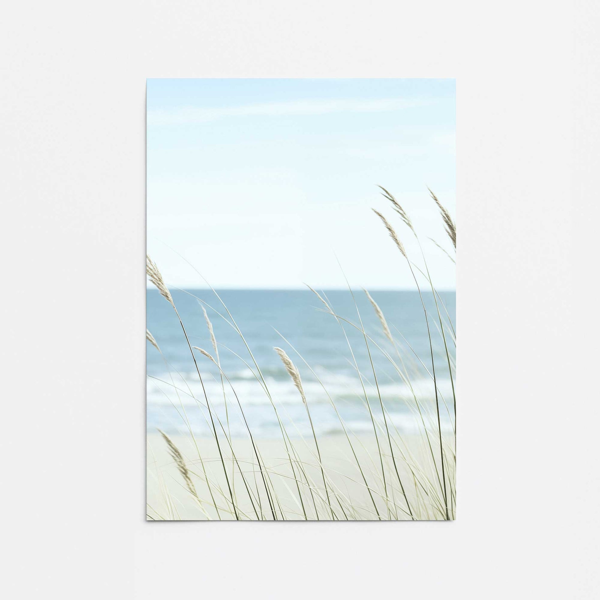 [color:Rolled Print], Picture of close up of art