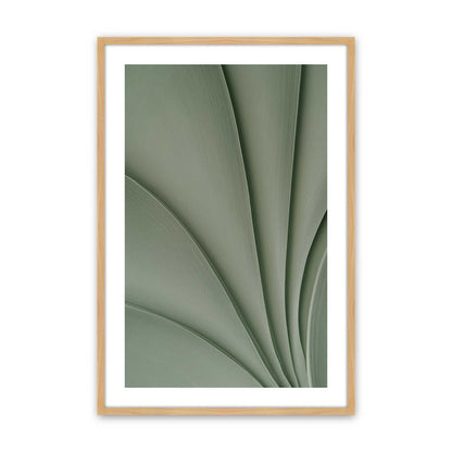 Sage Flow Set of 3 At Prints