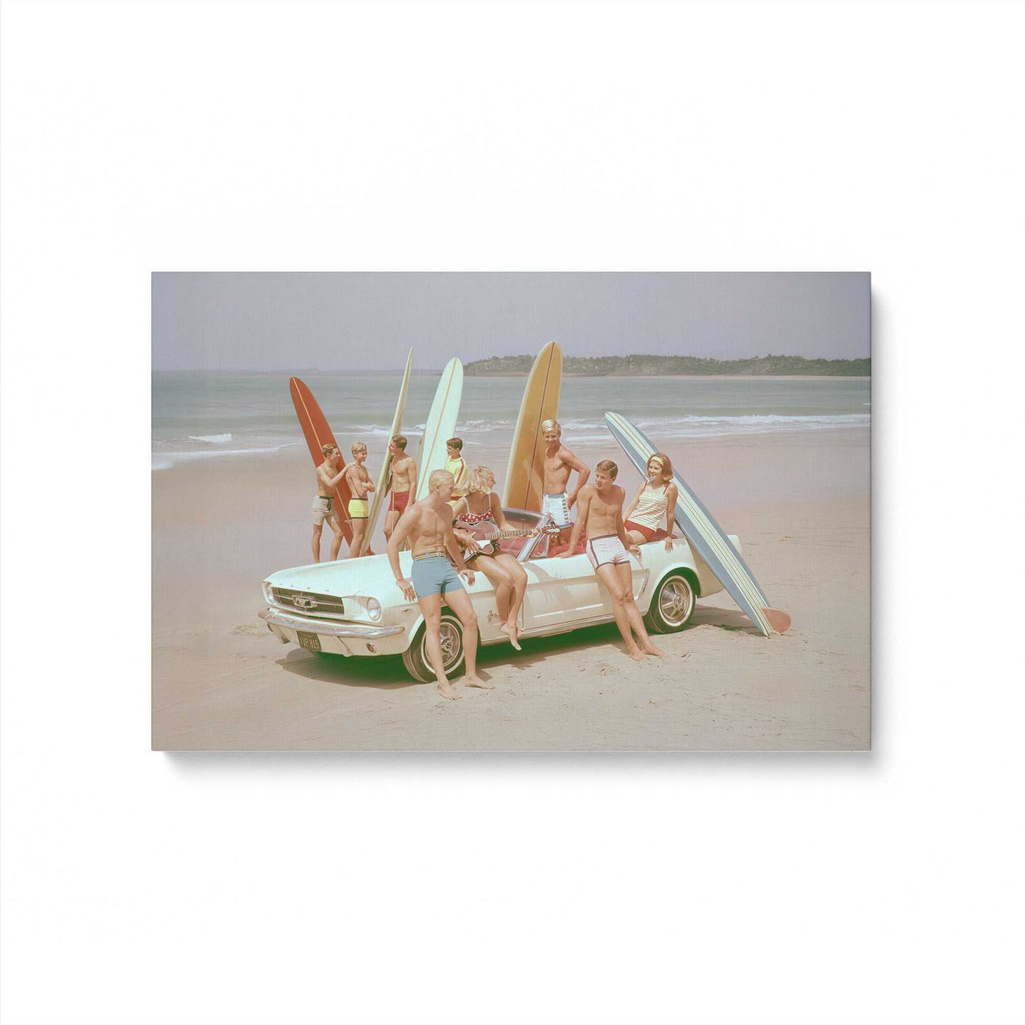 [Color:Stretched Canvas], Picture of art