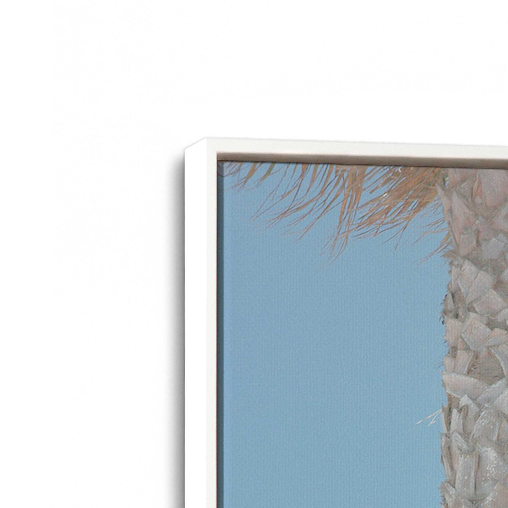[Color:Opaque White], Picture of art in a White frame at an angle