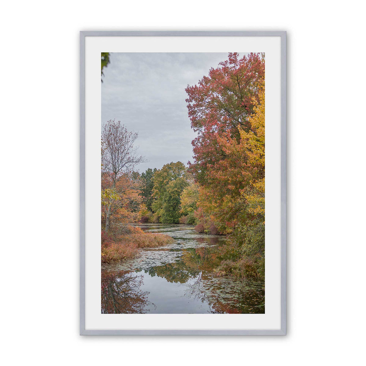 [Color:Polished Chrome], Picture of art in a Polished Chrome frame