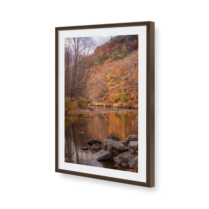 [Color:Brown], Picture of art in a Brown frame of the corner