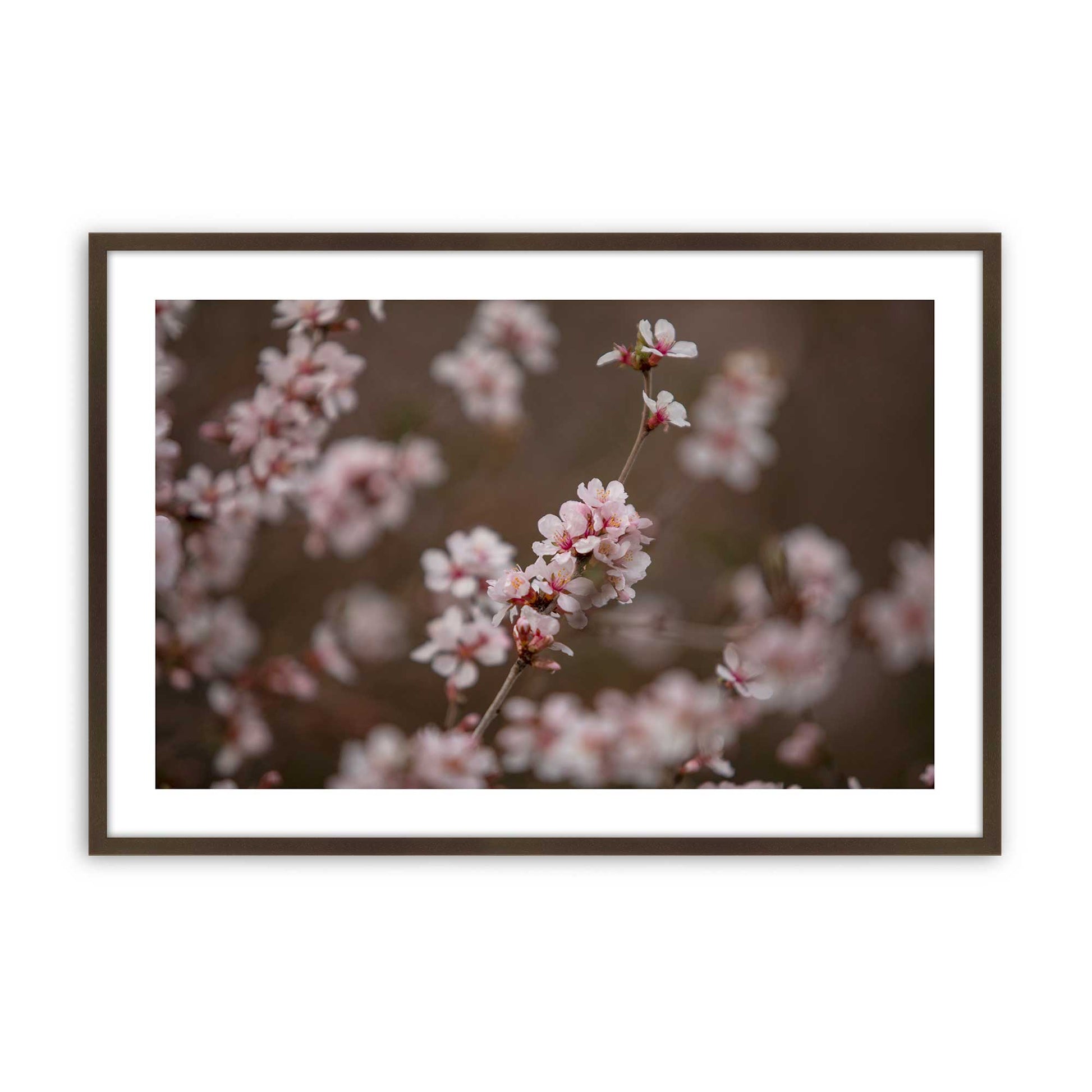 [Color:Brown], Picture of art in a Brown frame
