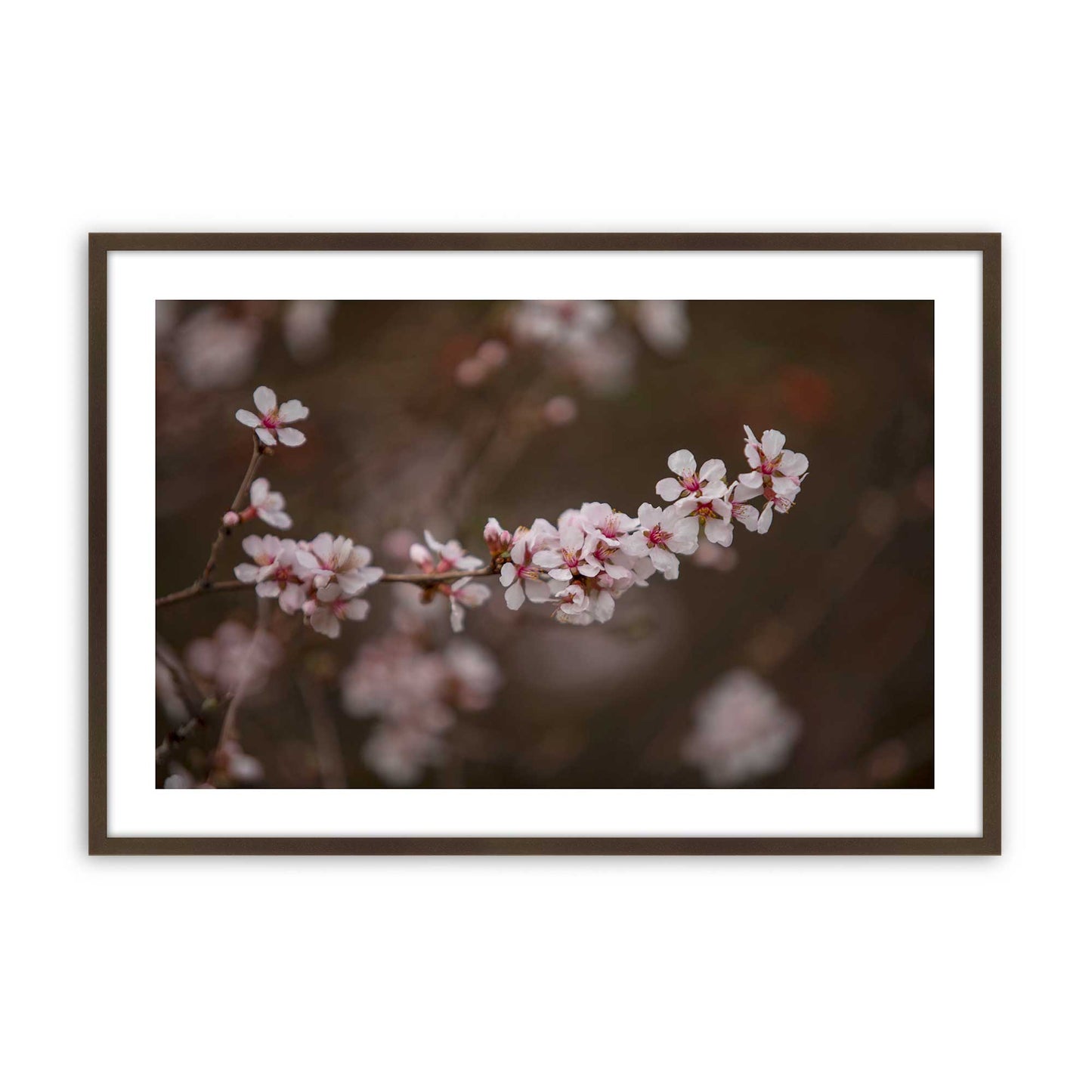[Color:Brown], Picture of art in a Brown frame