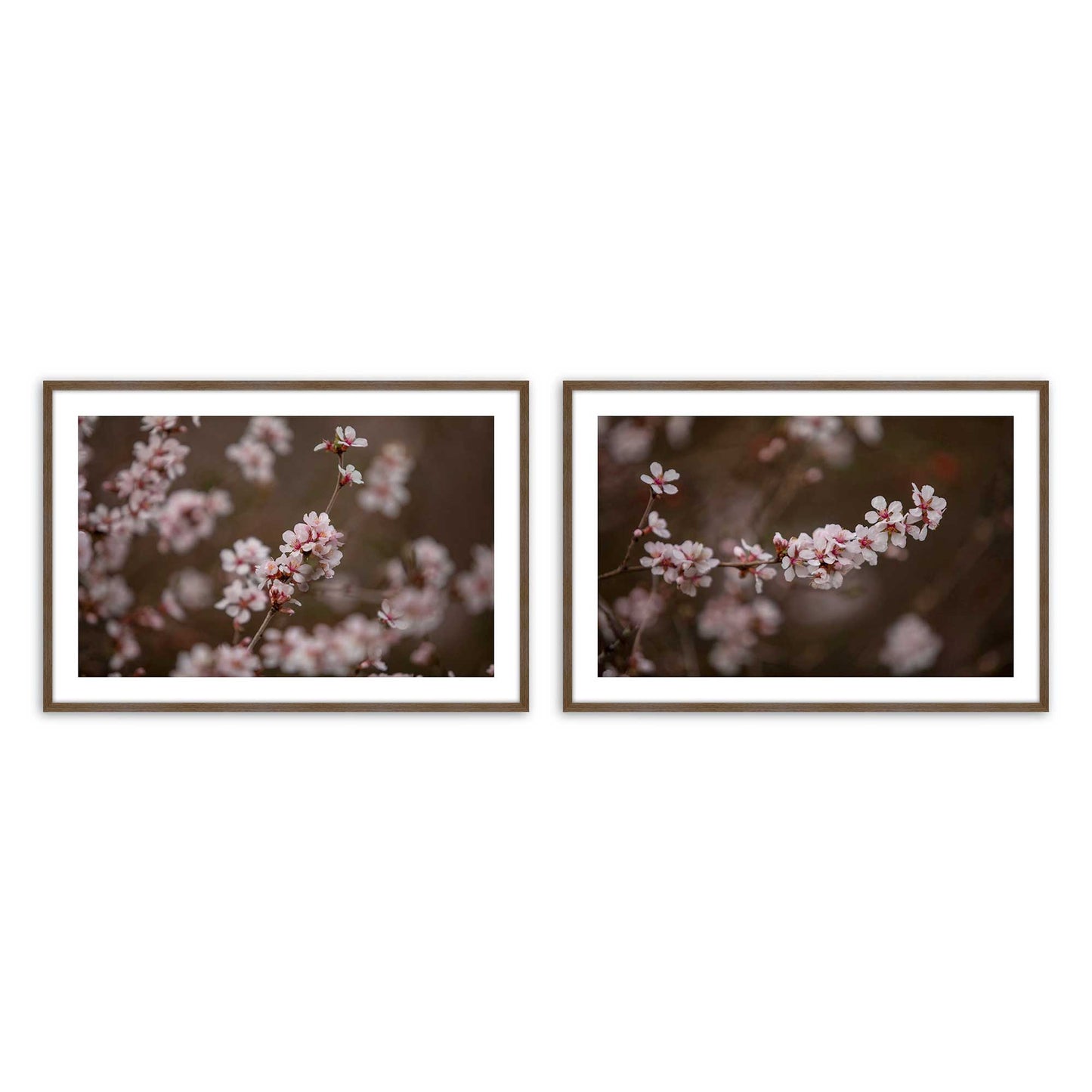 [Color:Walnut], Picture of art in a Walnut frame