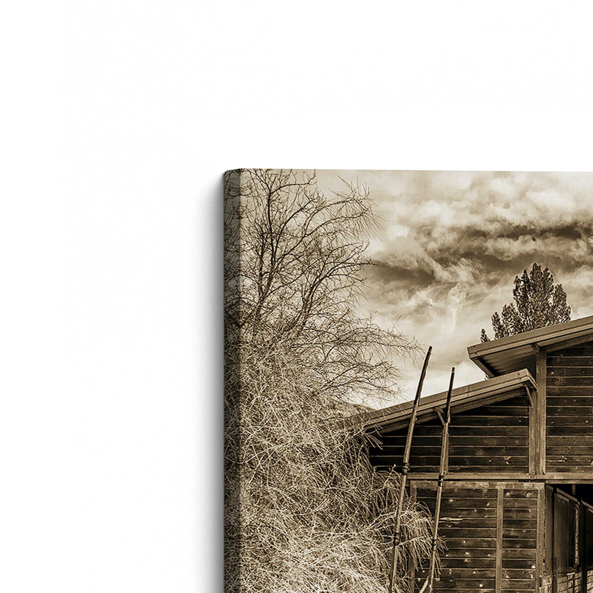 [Color:Stretched Canvas], Picture of the corner of the art