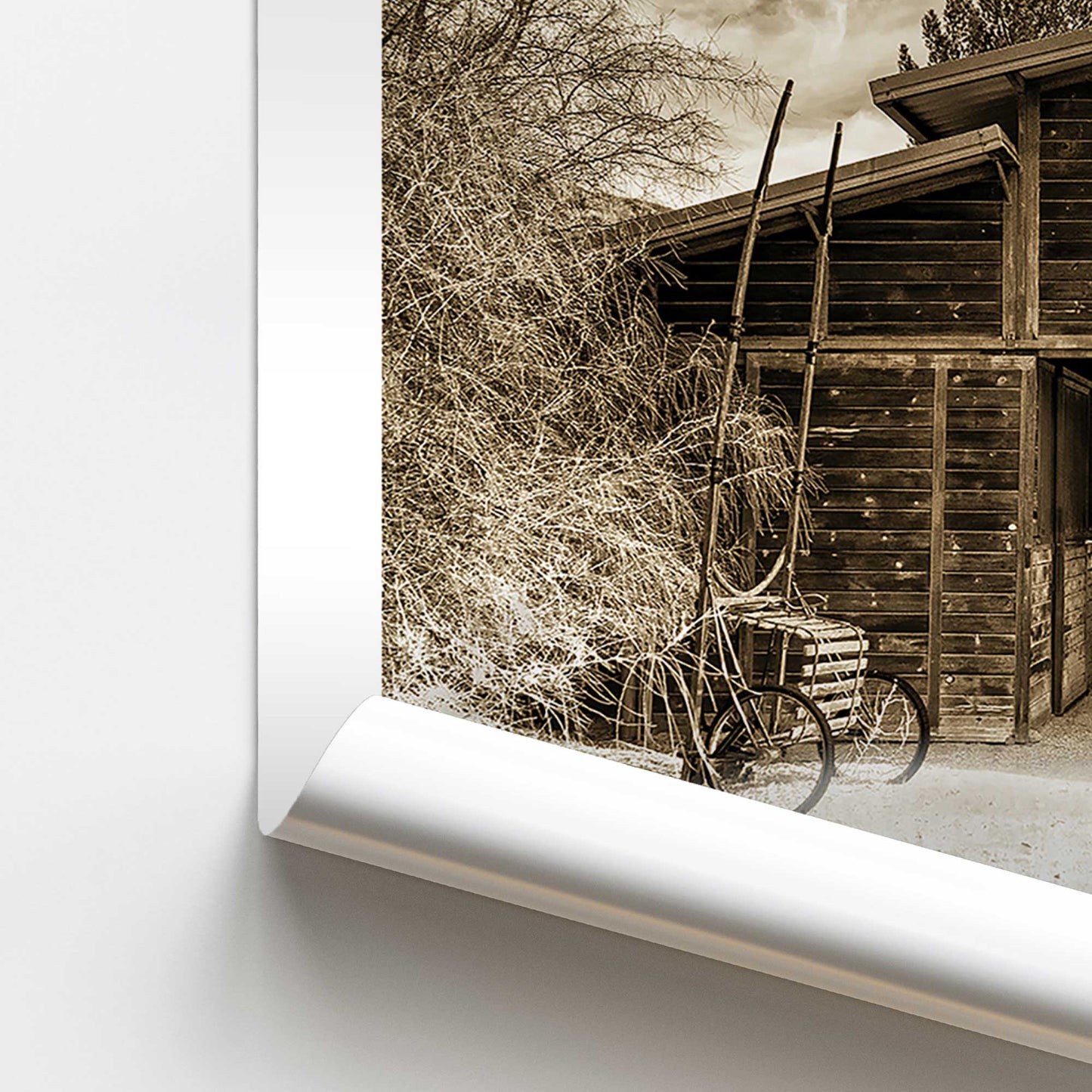 [color:Rolled Print], Picture of close up of art