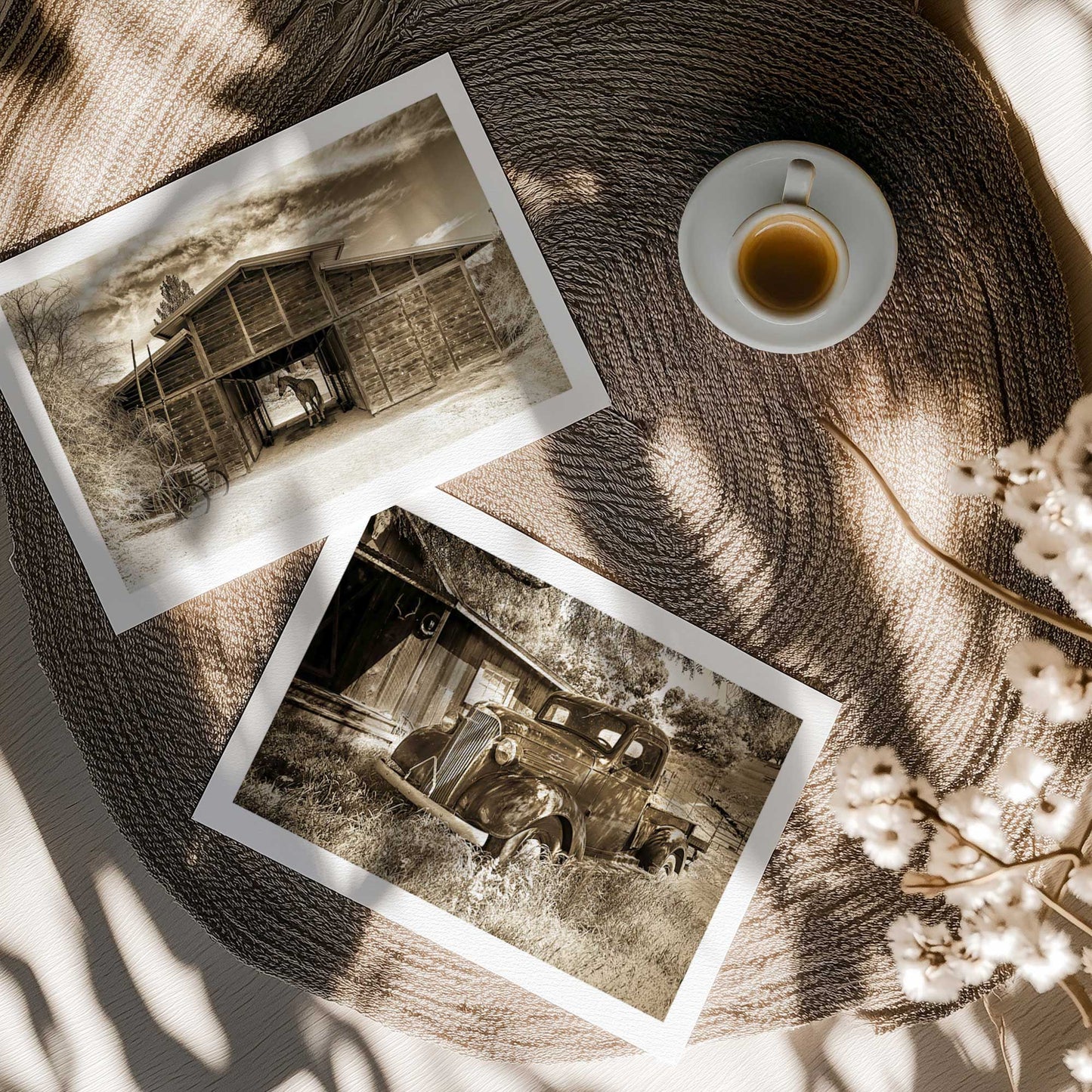 [color:Rolled Print], Picture of art in a room