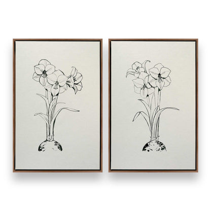 [Color:Walnut], Picture of art in a Walnut frame