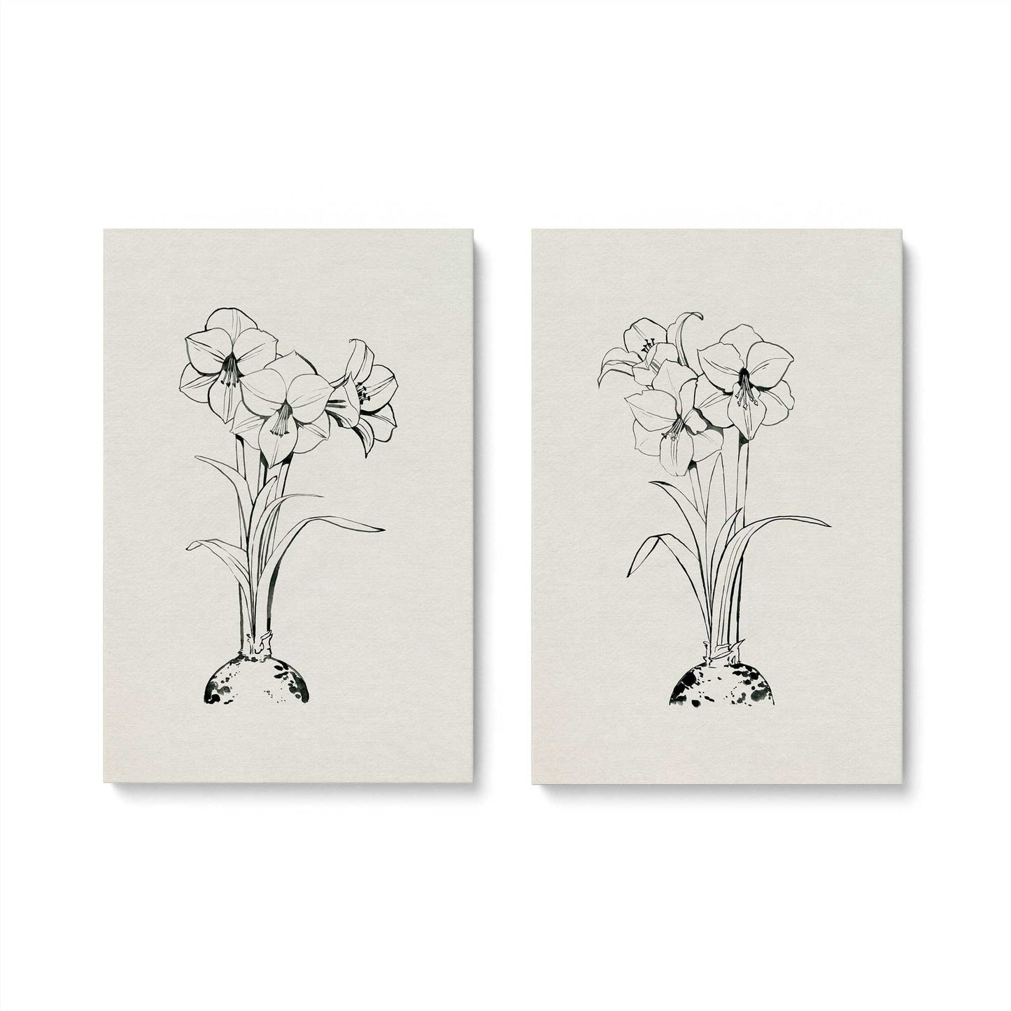 [Color:Stretched Canvas], Picture of art