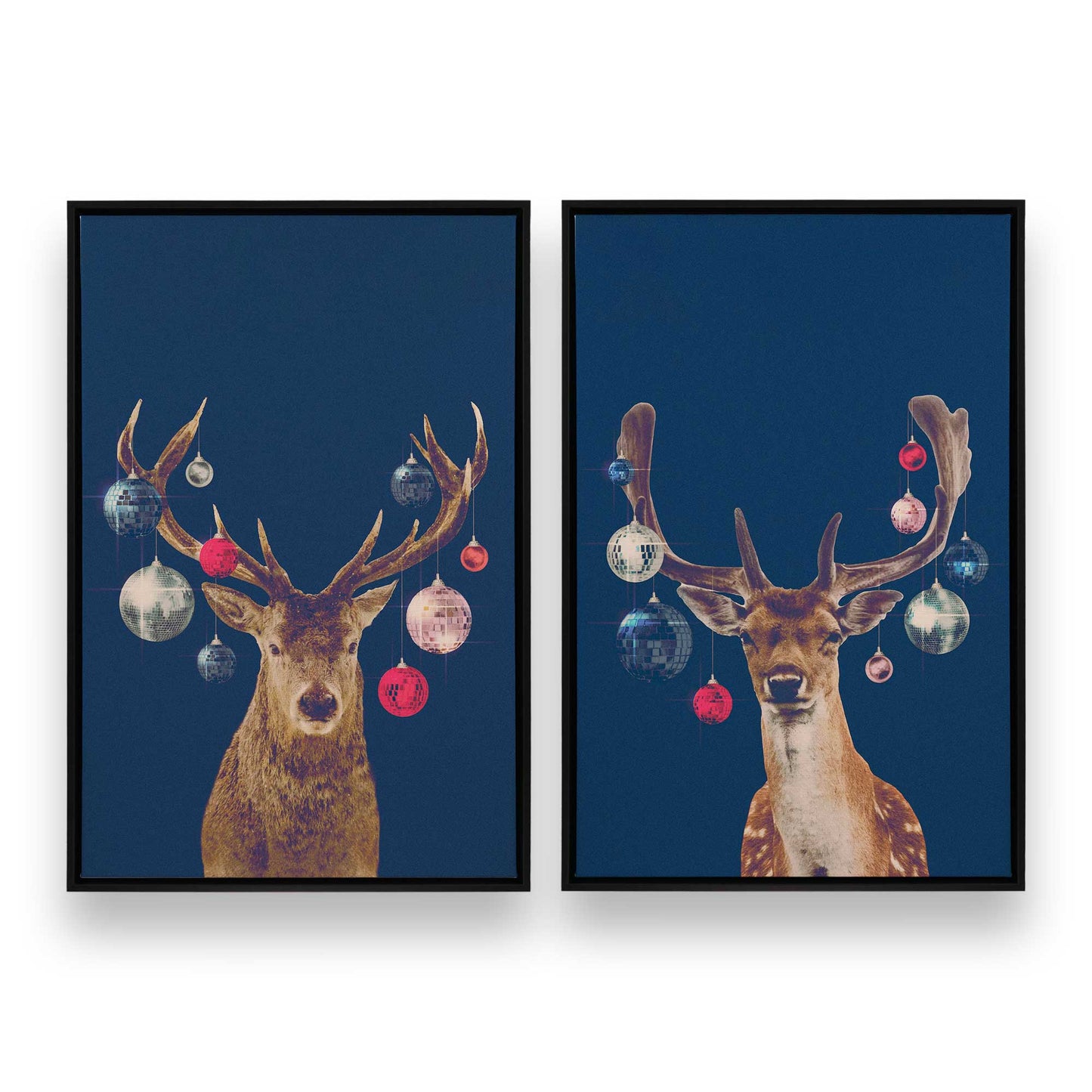 [Color:Satin Black],