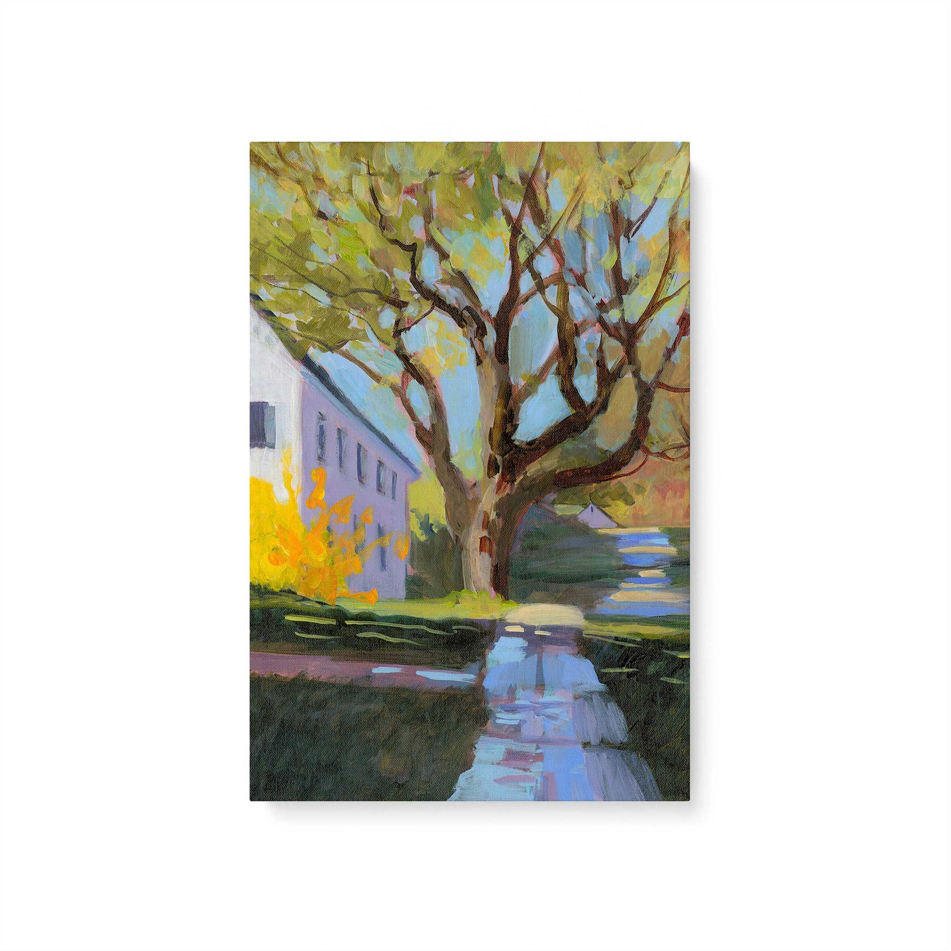 [Color:Stretched Canvas], Picture of art