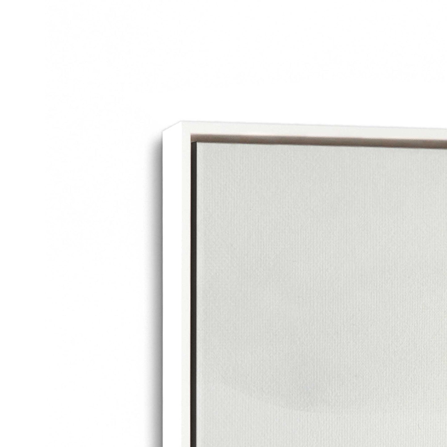 [Color:Opaque White], Picture of art in a White frame at an angle
