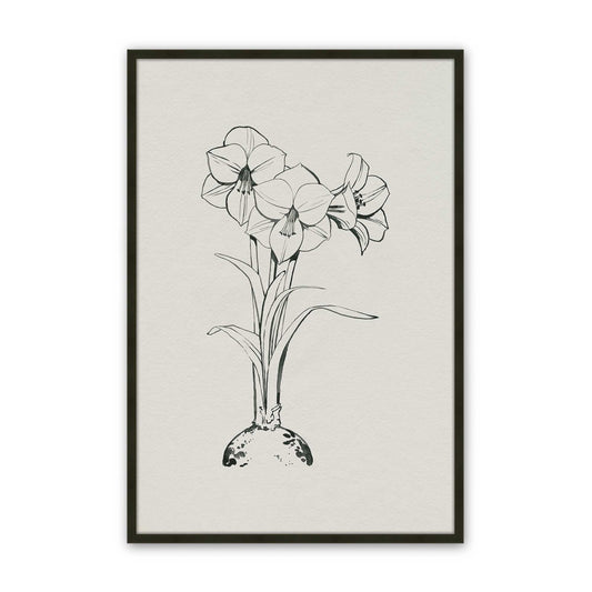 [SPECIAL],[Color:Satin Black],