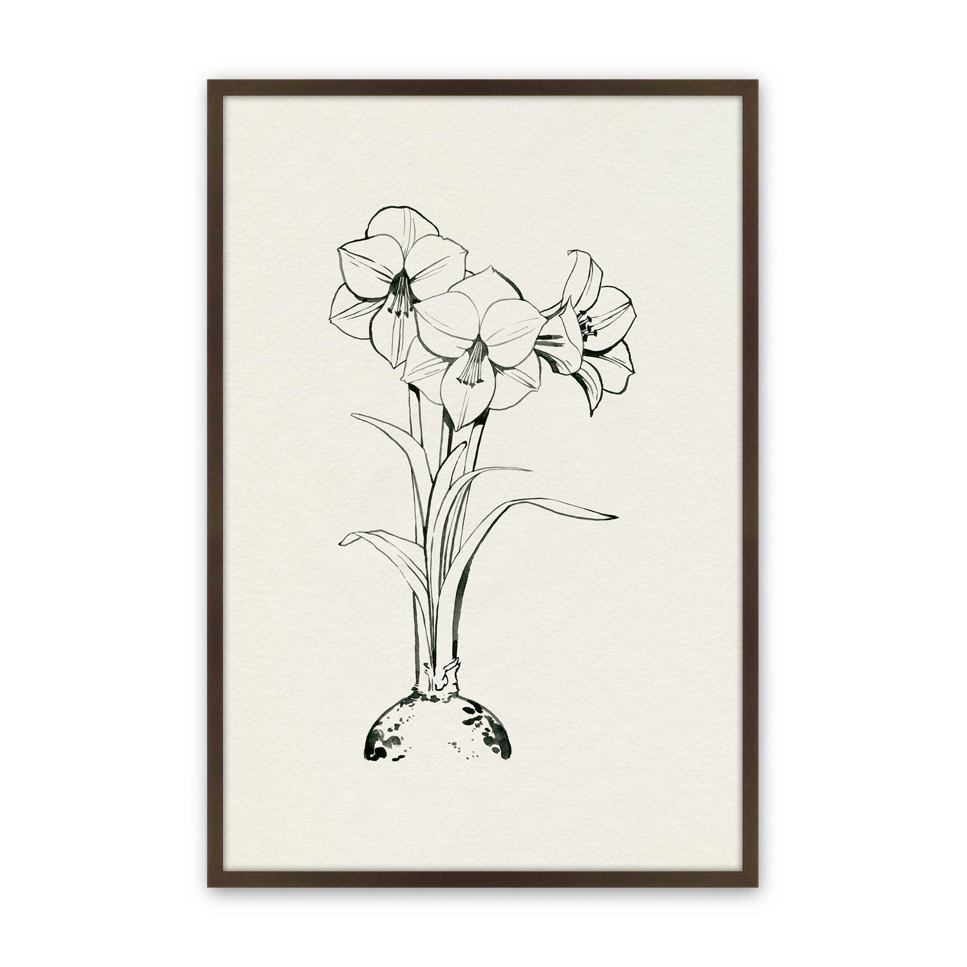 [Color:Brown], Picture of art in a Brown frame