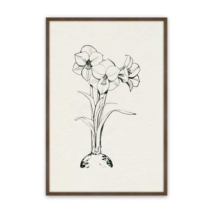 [Color:Walnut], Picture of art in a Walnut frame