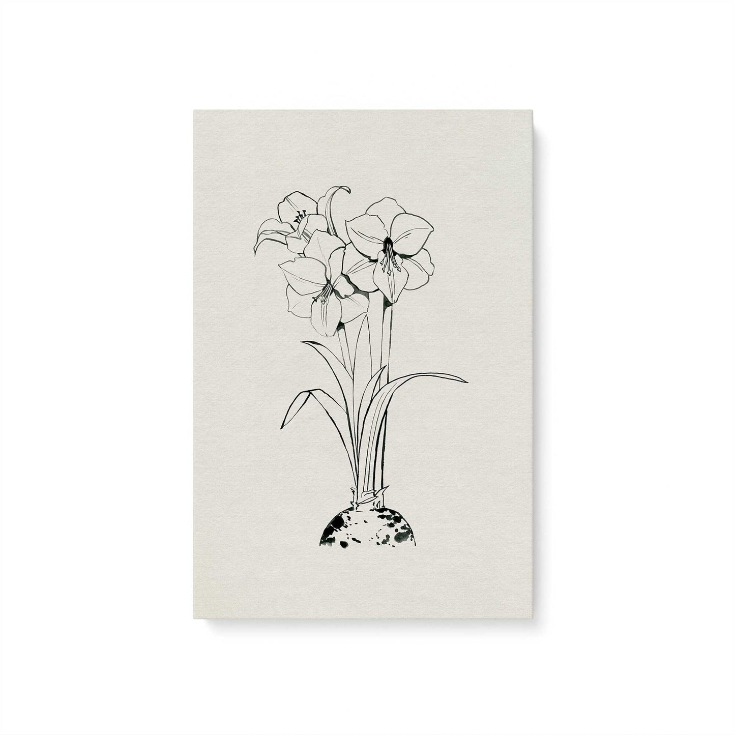 [Color:Stretched Canvas], Picture of art