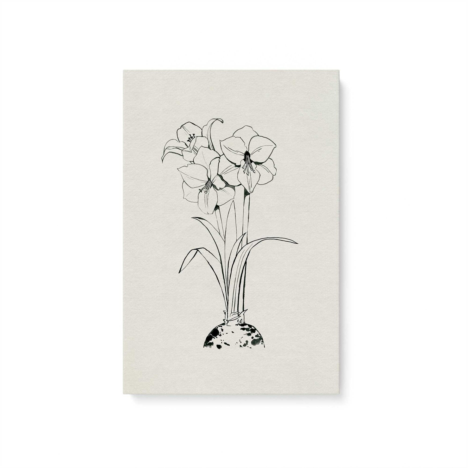 [Color:Stretched Canvas], Picture of art