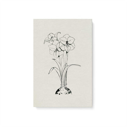 [Color:Stretched Canvas], Picture of art