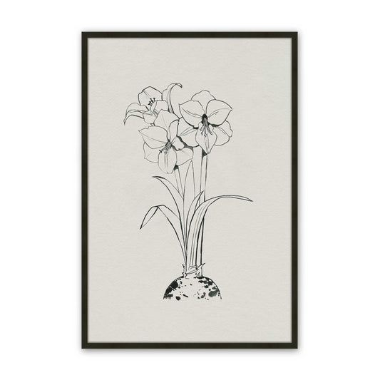 [SPECIAL],[Color:Satin Black],