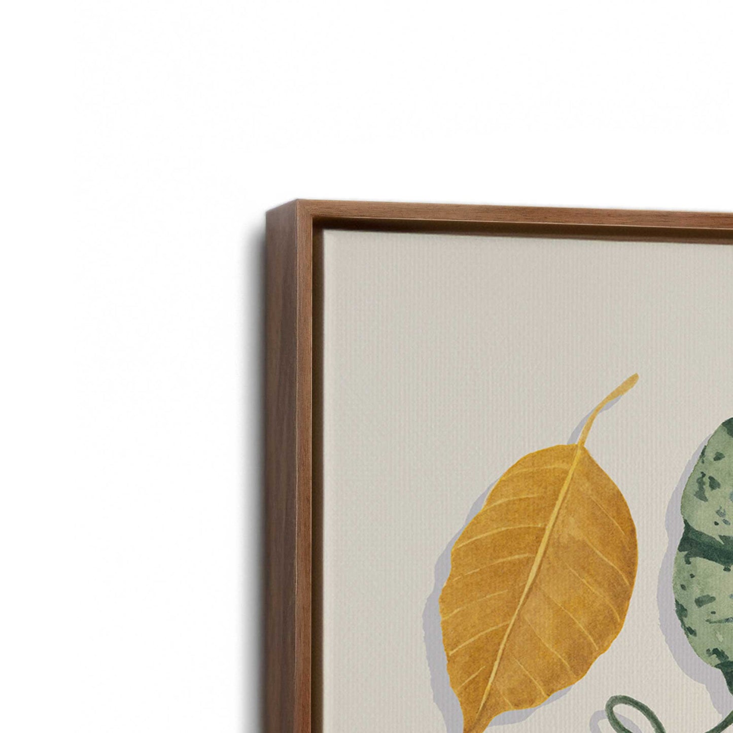 [Color:Walnut], Picture of art in a Walnut frame at an angle