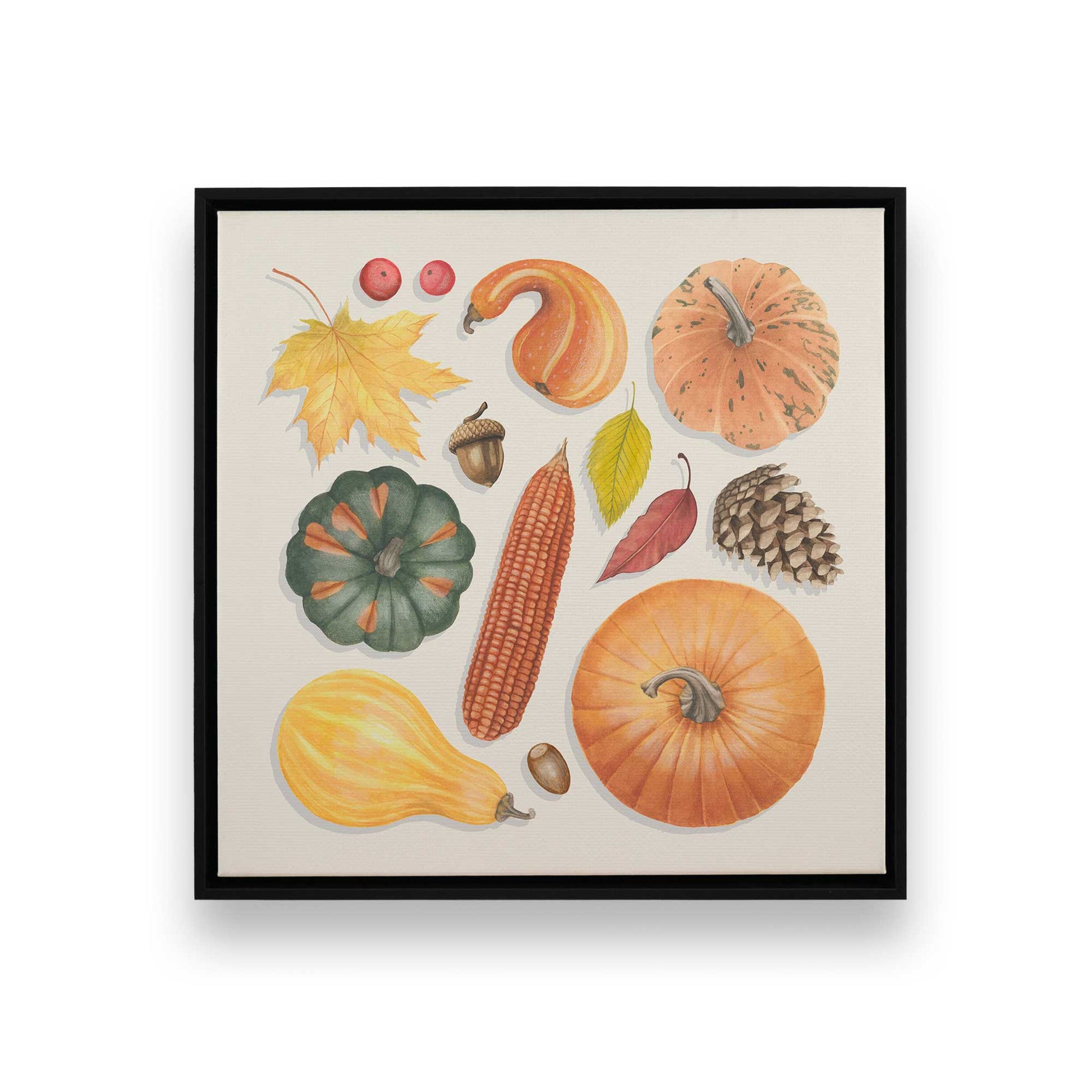 [SPECIAL],[Color:Satin Black],