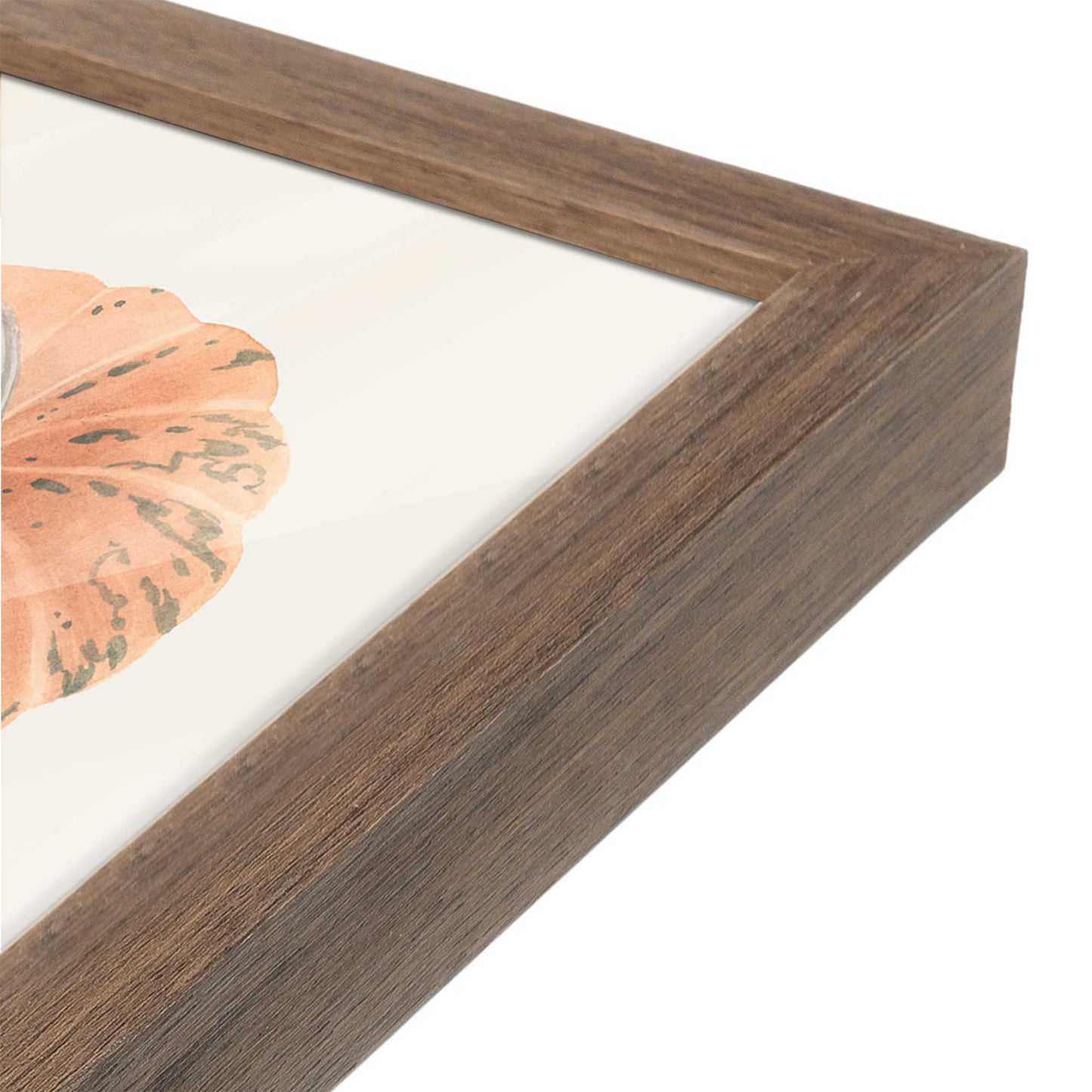 [Color:Walnut], Picture of art in a Walnut frame at an angle