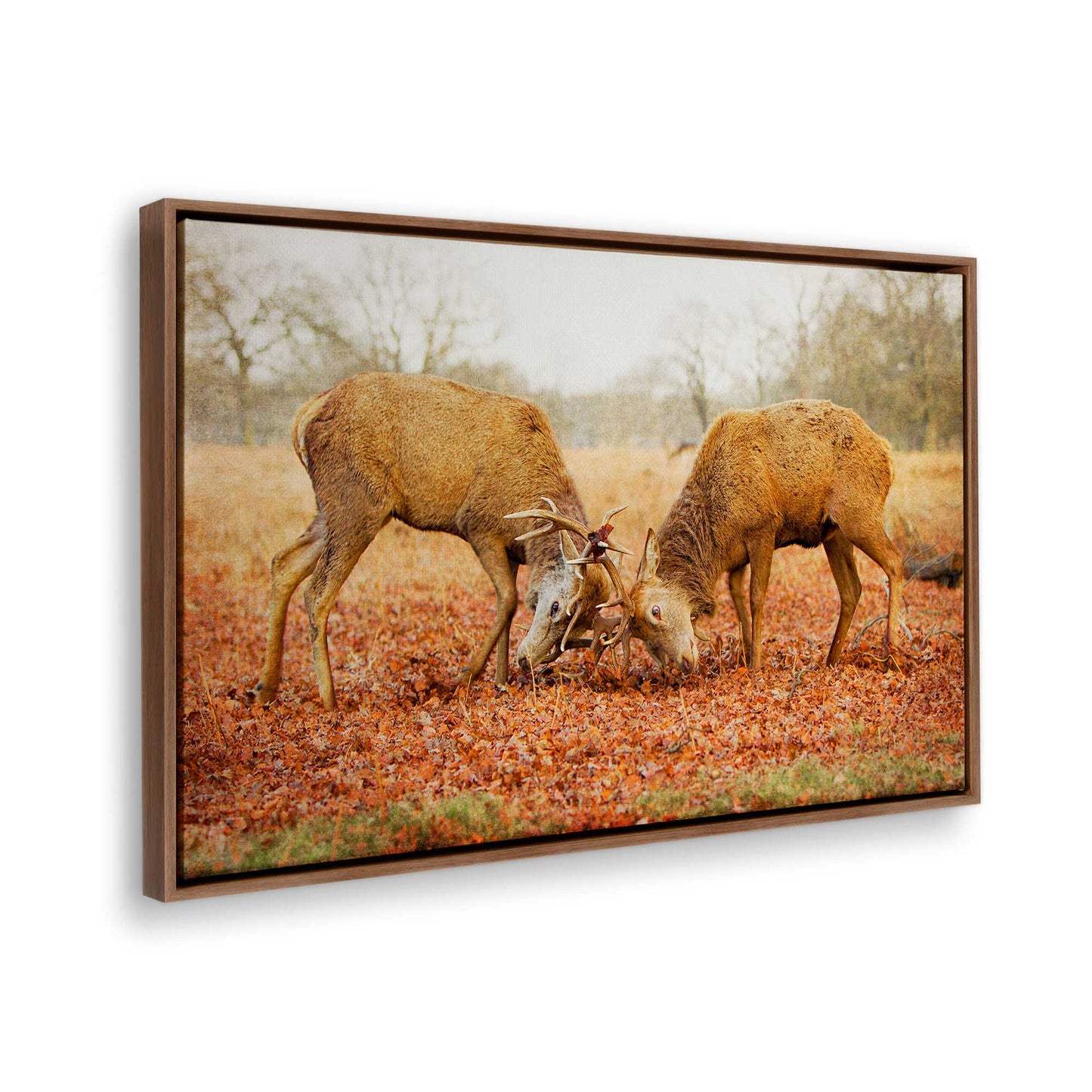 [Color:Walnut], Picture of the corner of the art