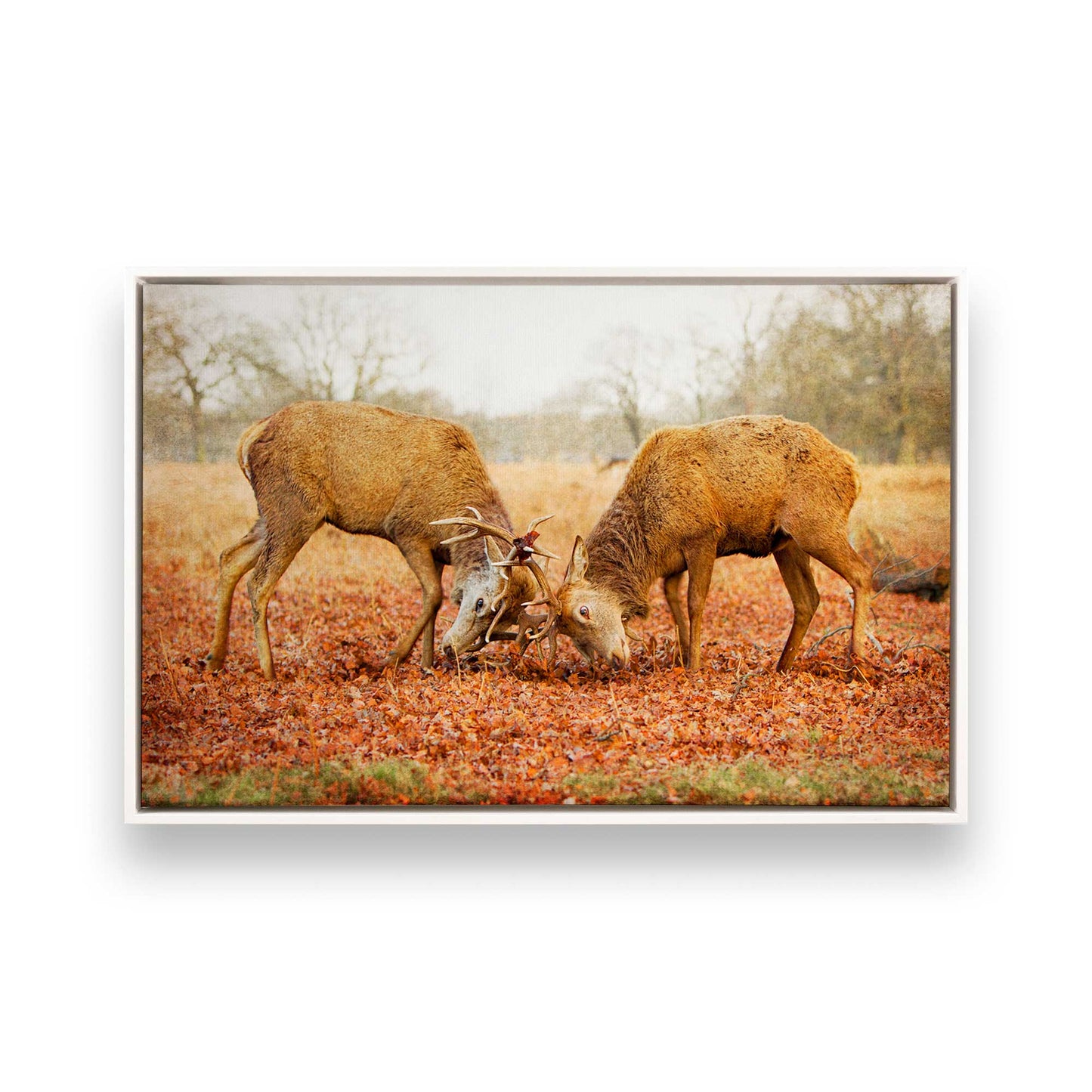 [Color:Opaque White], Picture of art in a White frame