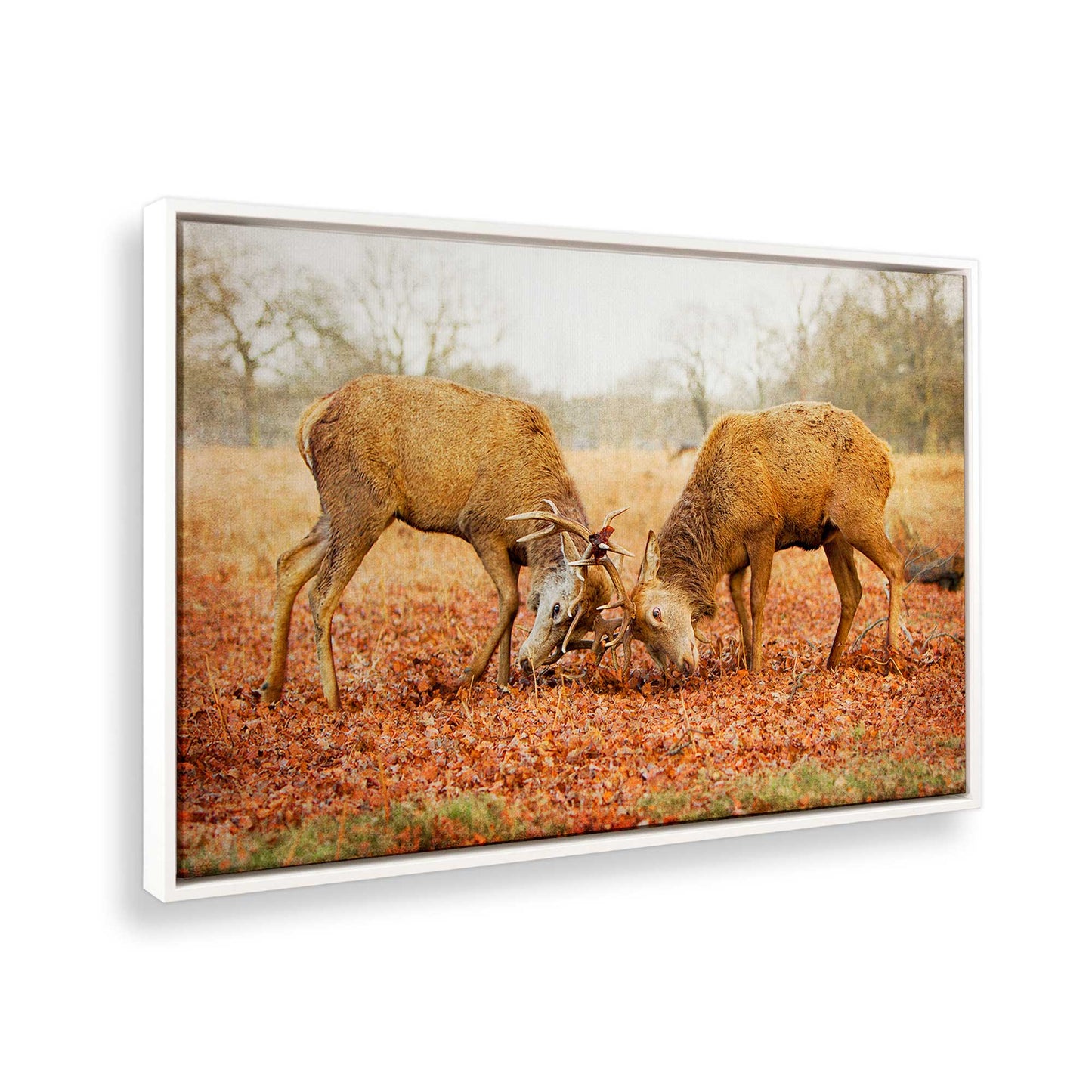 [Color:Opaque White], Picture of the corner of the art