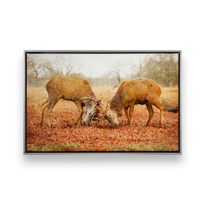 [Color:Polished Chrome], Picture of art in a Polished Chrome frame