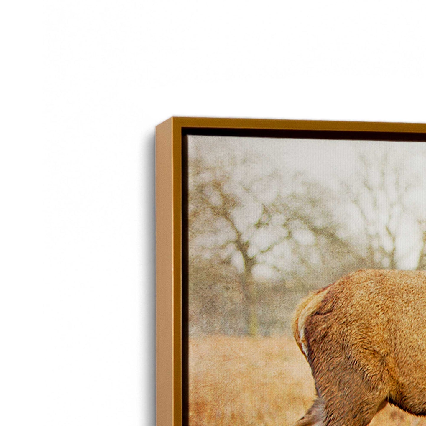 [Color:Polished Gold], Picture of art in a Polished Gold frame at an angle