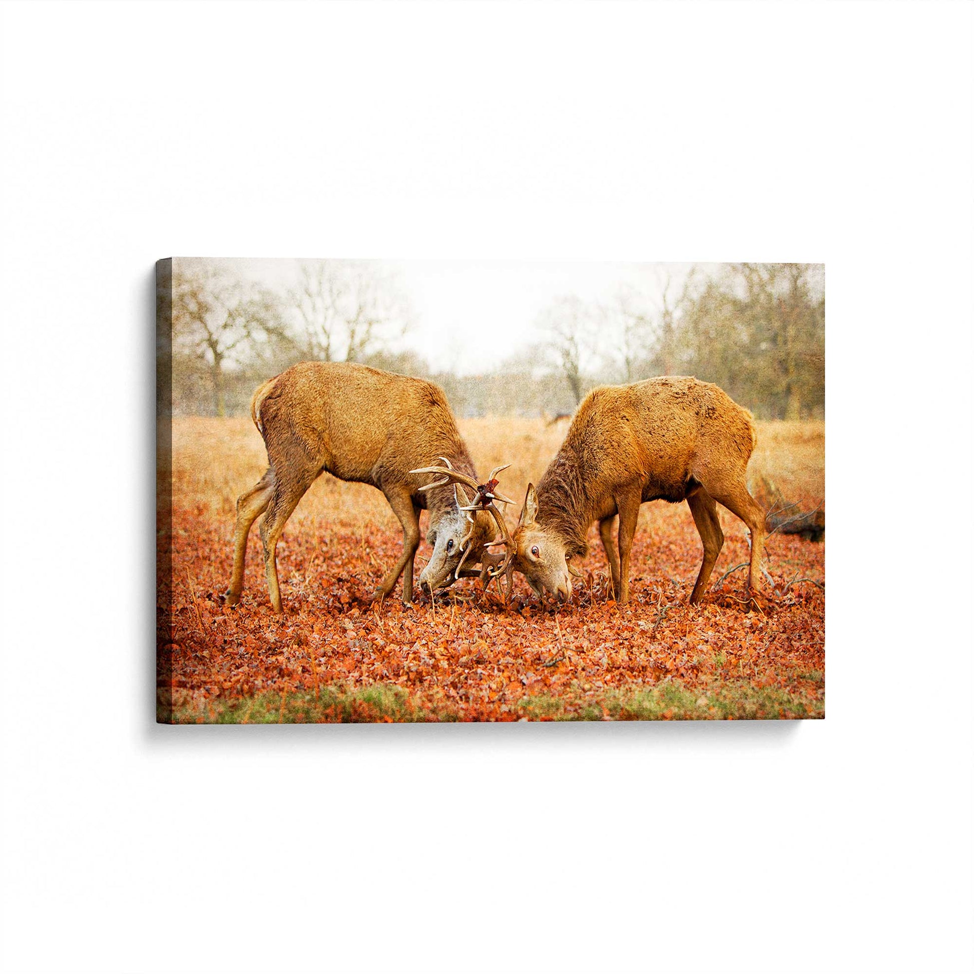 [Color:Stretched Canvas], Picture of art at an angle