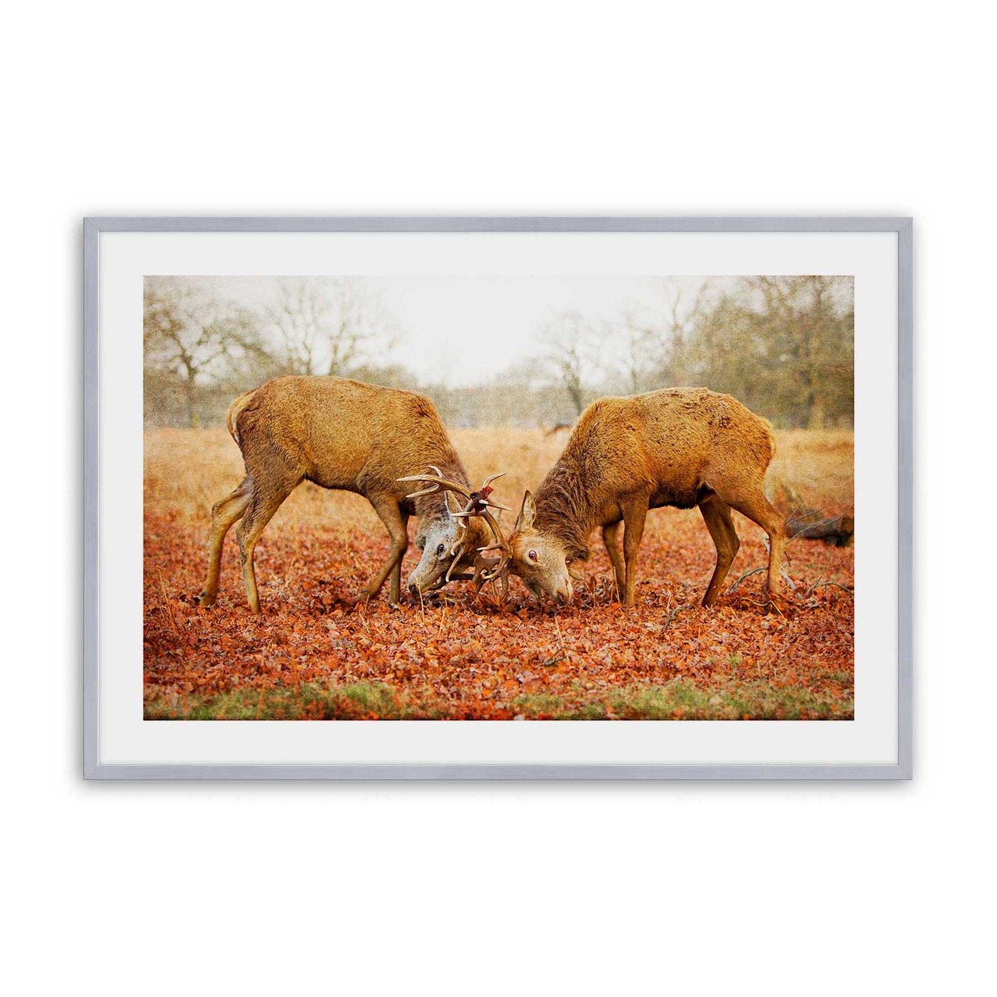 [Color:Polished Chrome], Picture of art in a Polished Chrome frame