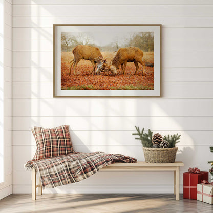 [LIFESTYLE],[SPECIAL],  Picture of art in a roo