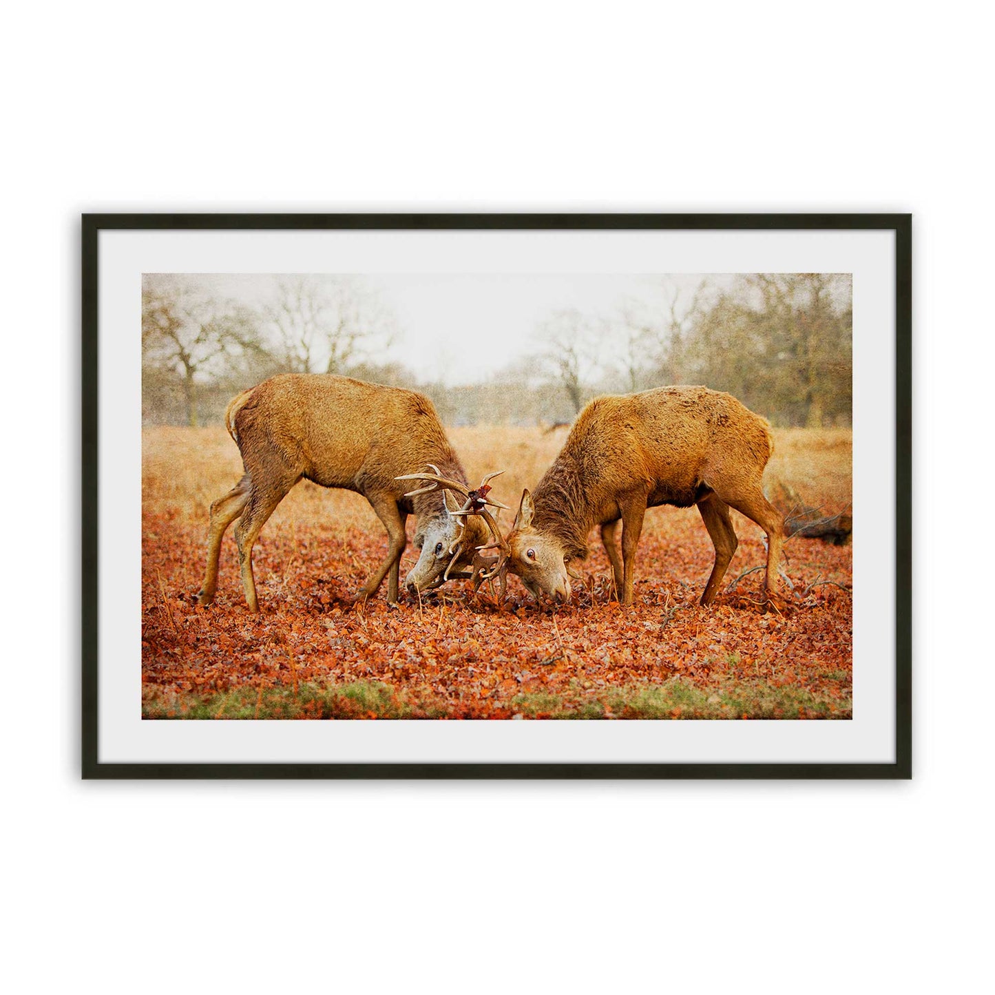 [SPECIAL],[Color:Satin Black],