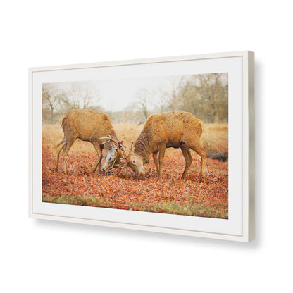 [Color:Opaque White], Picture of art in a Opaque White frame of the corner