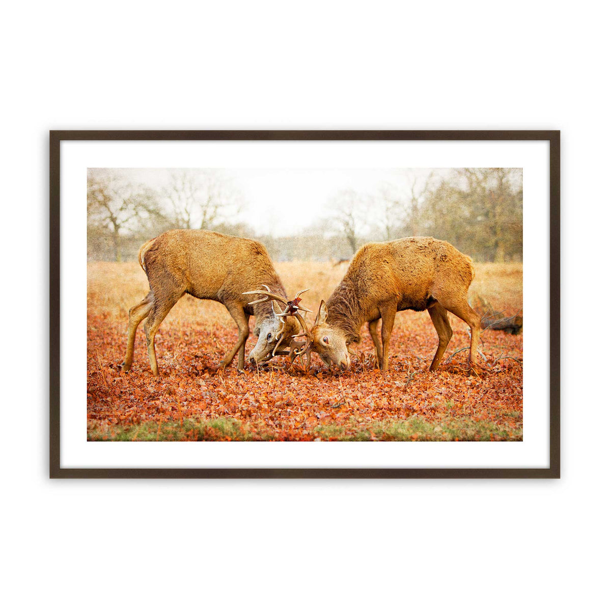 [Color:Belvinder Brown], Picture of art in a Belvinder Brown frame