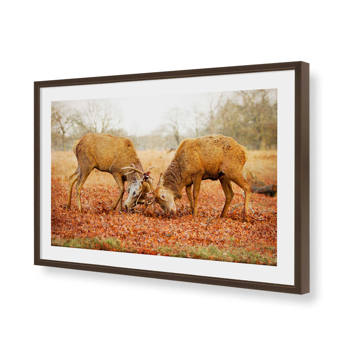 [Color:Brown], Picture of art in a Brown frame of the corner