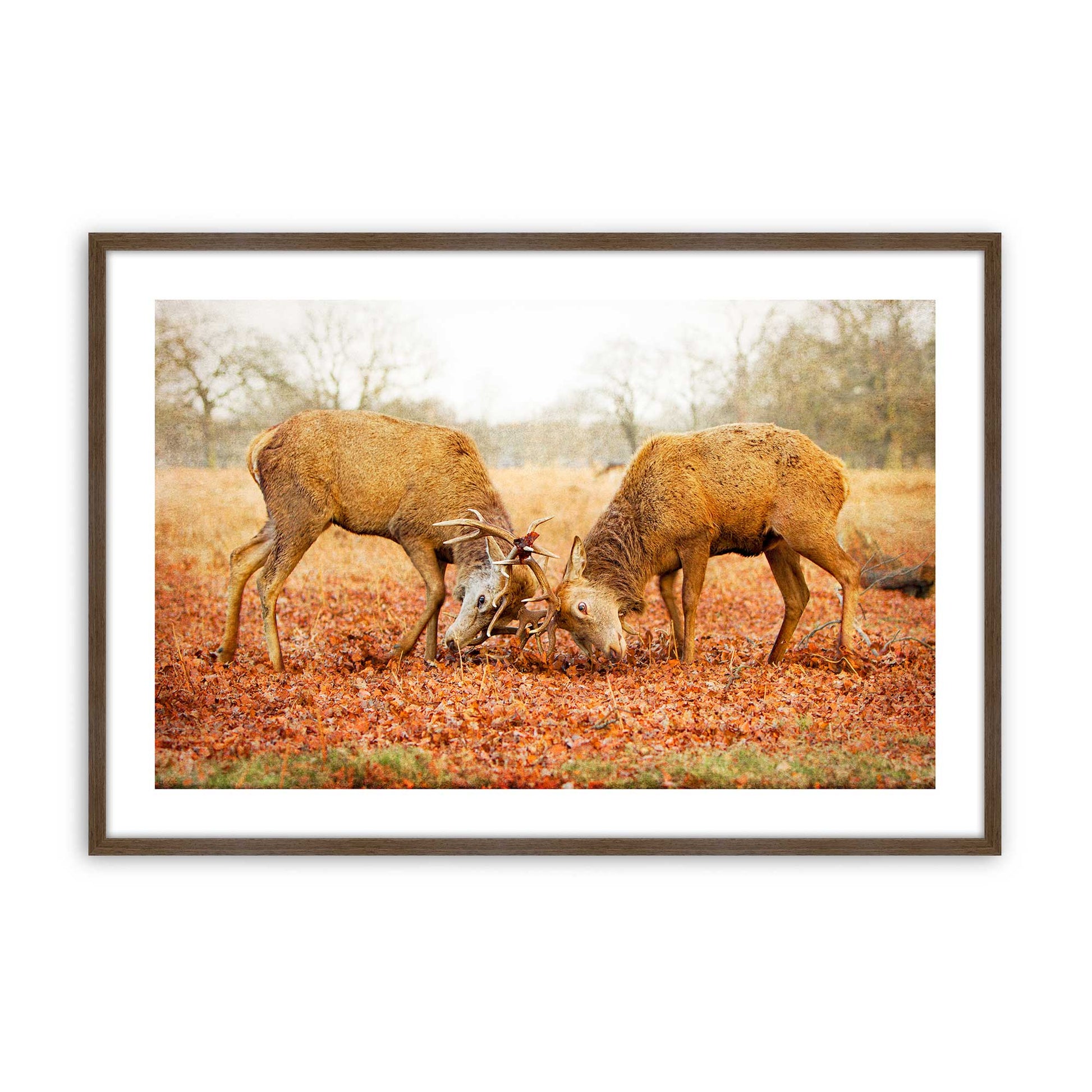 [Color:Walnut], Picture of art in a Walnut frame