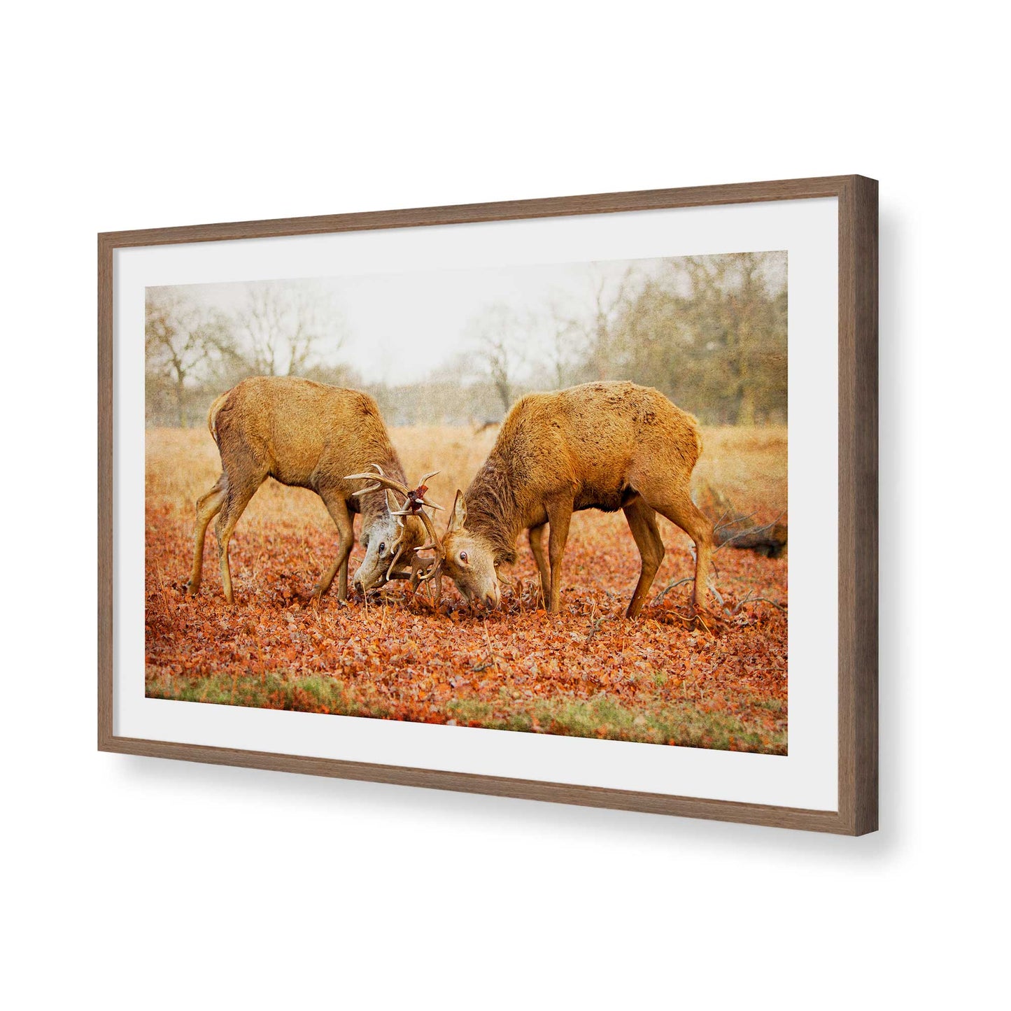 [Color:Walnut], Picture of art in a Walnut frame of the corner