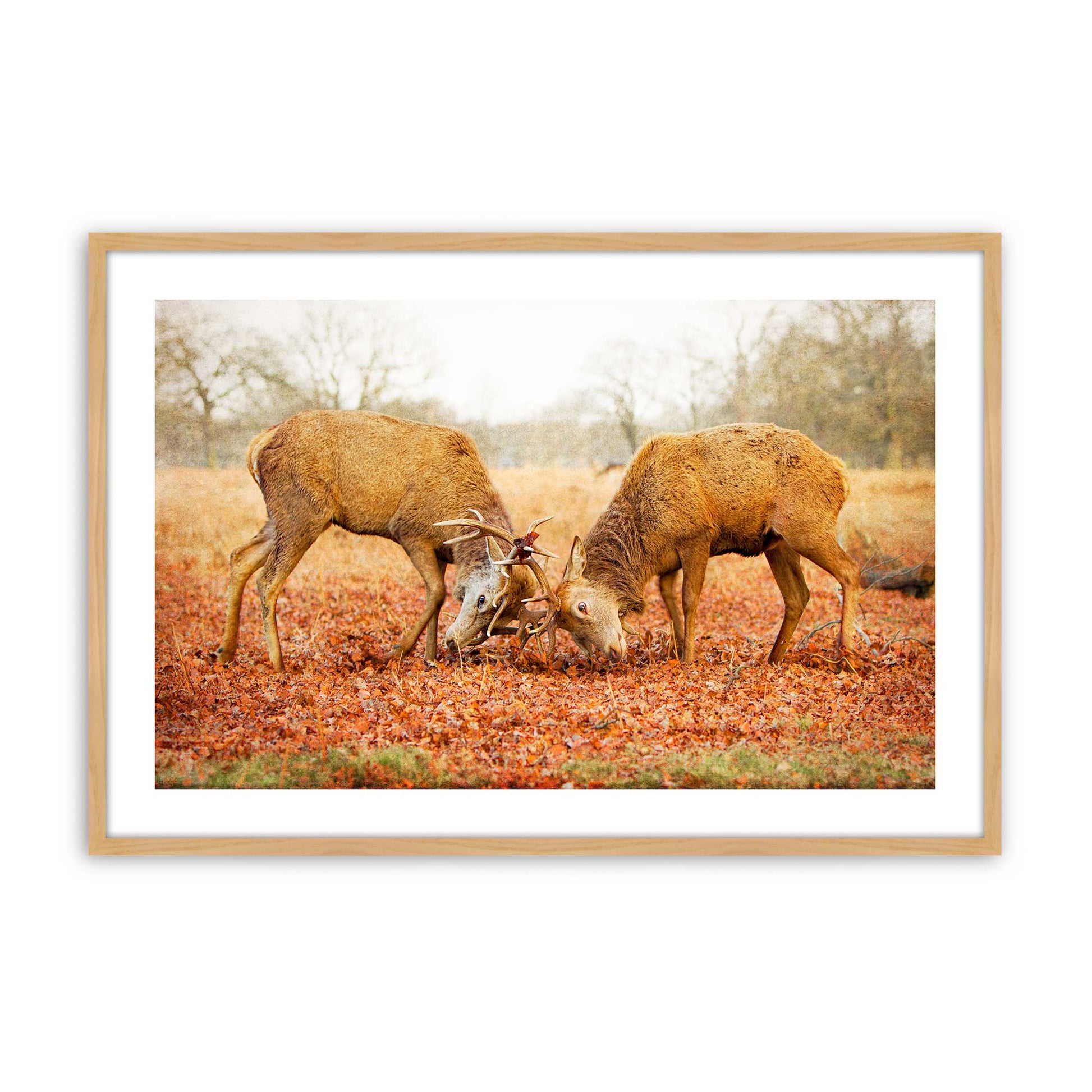 [Color:American Maple], Picture of art in a American Maple frame